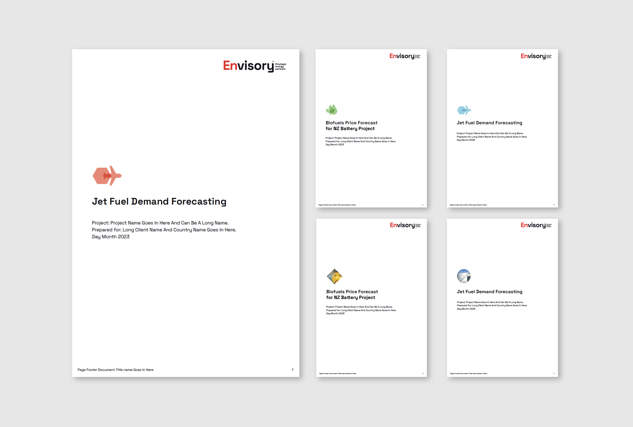 Envisory report covers